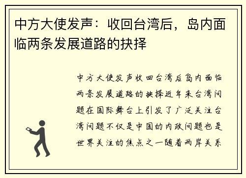 中方大使发声：收回台湾后，岛内面临两条发展道路的抉择