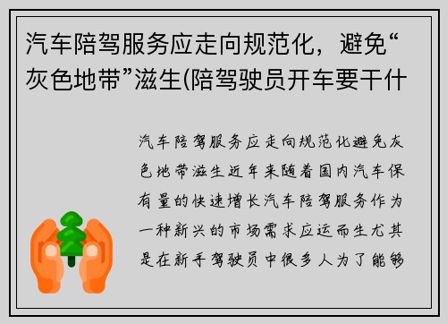 汽车陪驾服务应走向规范化，避免“灰色地带”滋生(陪驾驶员开车要干什么)